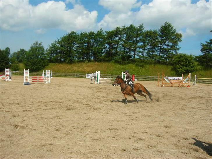 Anden særlig race My Little Pony - Solgt :( - stævne i frederiksværk MB billede 17