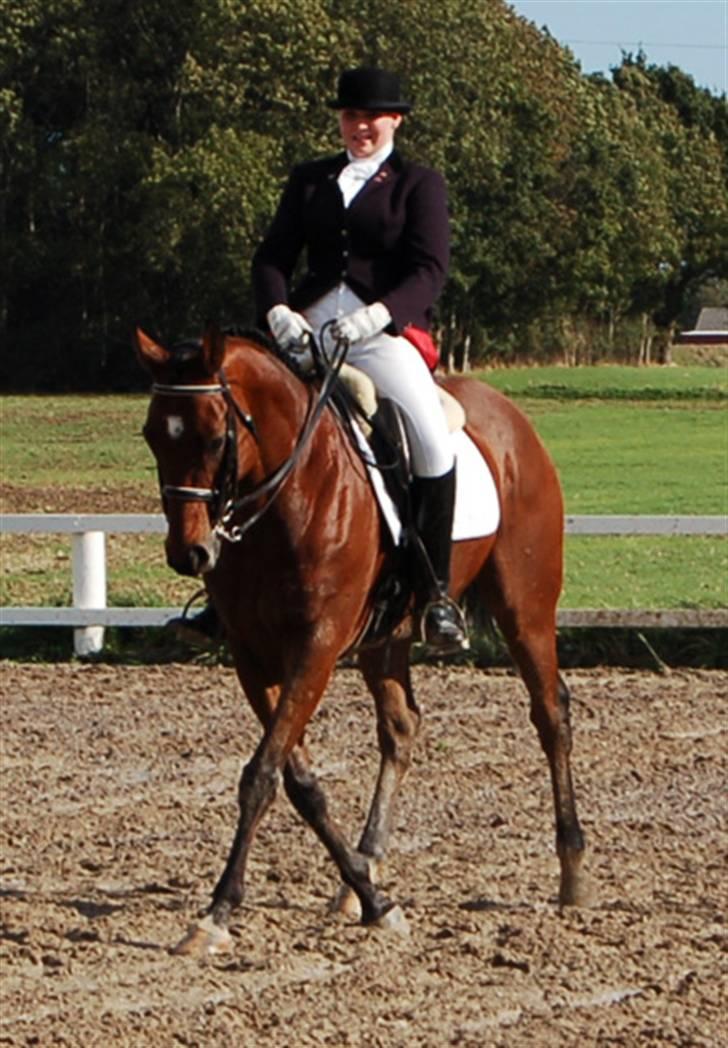 Fuldblod (XX) Fourier (DEN) xx - Fourier og mig i vores første Mb1.. 22.09.07 billede 6