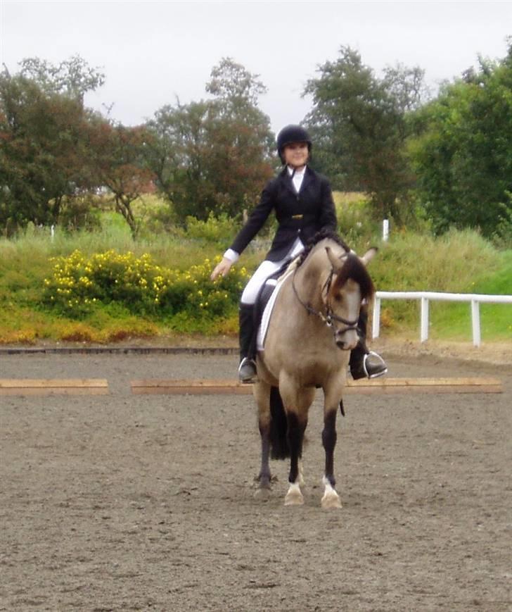 DSP "Golden Mulan"  - hilsen.,. billede 10