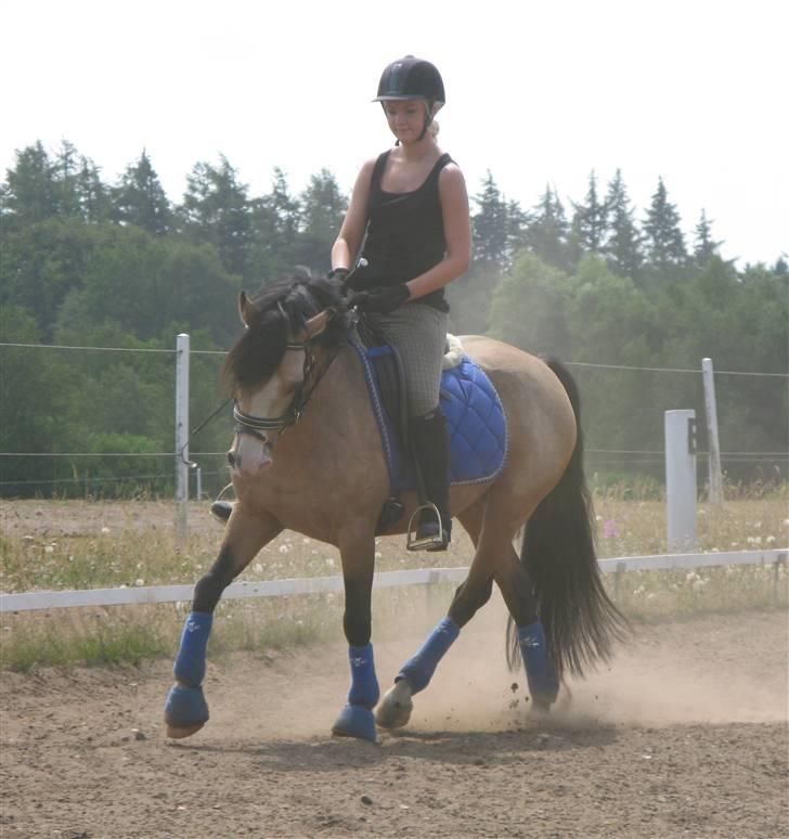 DSP "Golden Mulan"  - Mulan og Nadia træning 1. juli 2009 :) billede 11