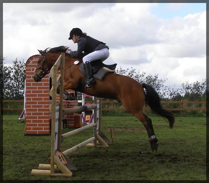 Anden særlig race Cativo - mb. billede 17