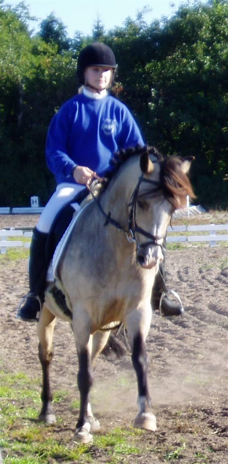 DSP "Golden Mulan"  - Smukke`<`33 billede 13