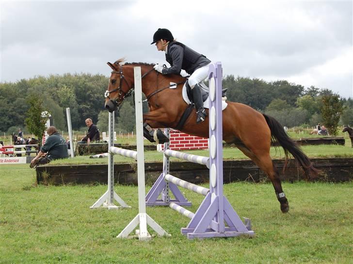 Anden særlig race Cativo - jeg kan ikke leve uden dig! billede 18