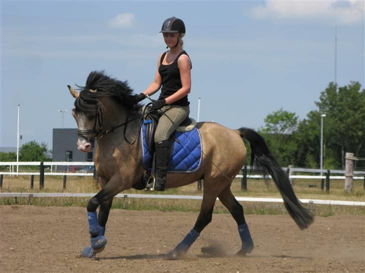 DSP "Golden Mulan"  - Mulan og Nadia træning 1. juli 2009 :) billede 14