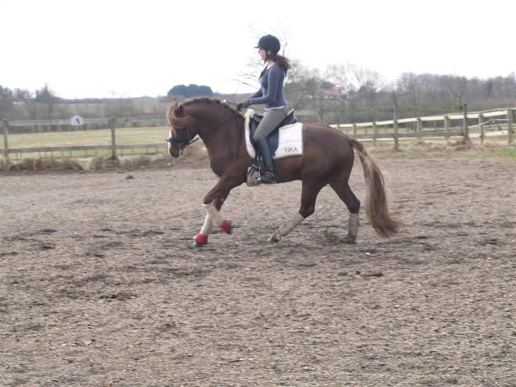 Connemara Skærgårdens First Night billede 12