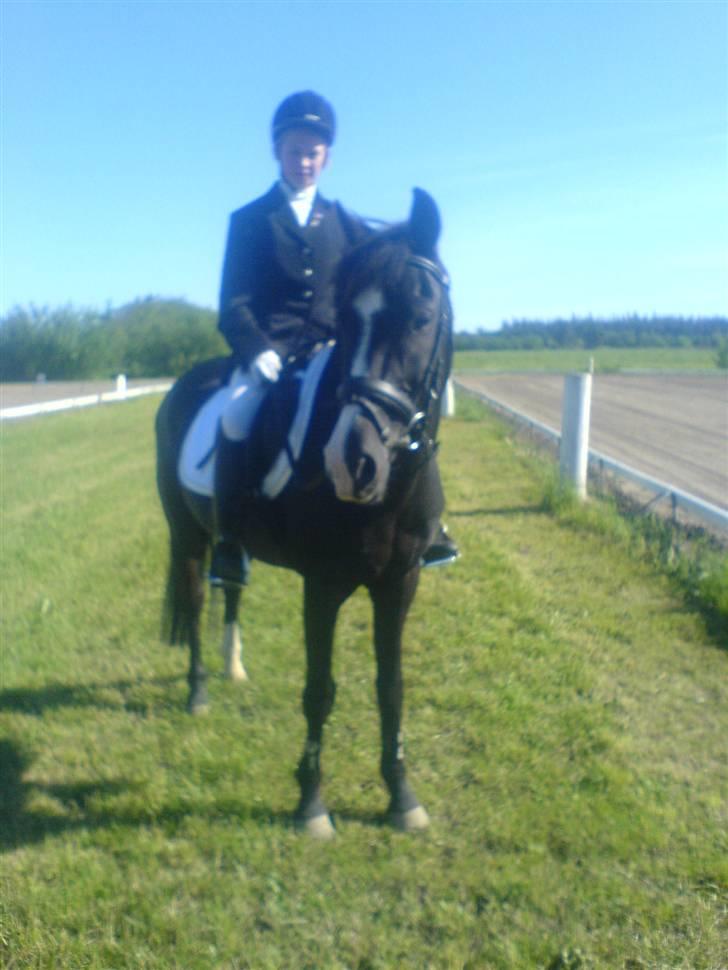 Anden særlig race Max<3 Pensioneret :) - Foto: Mig Skatten med  hans nye ejer <3 billede 18