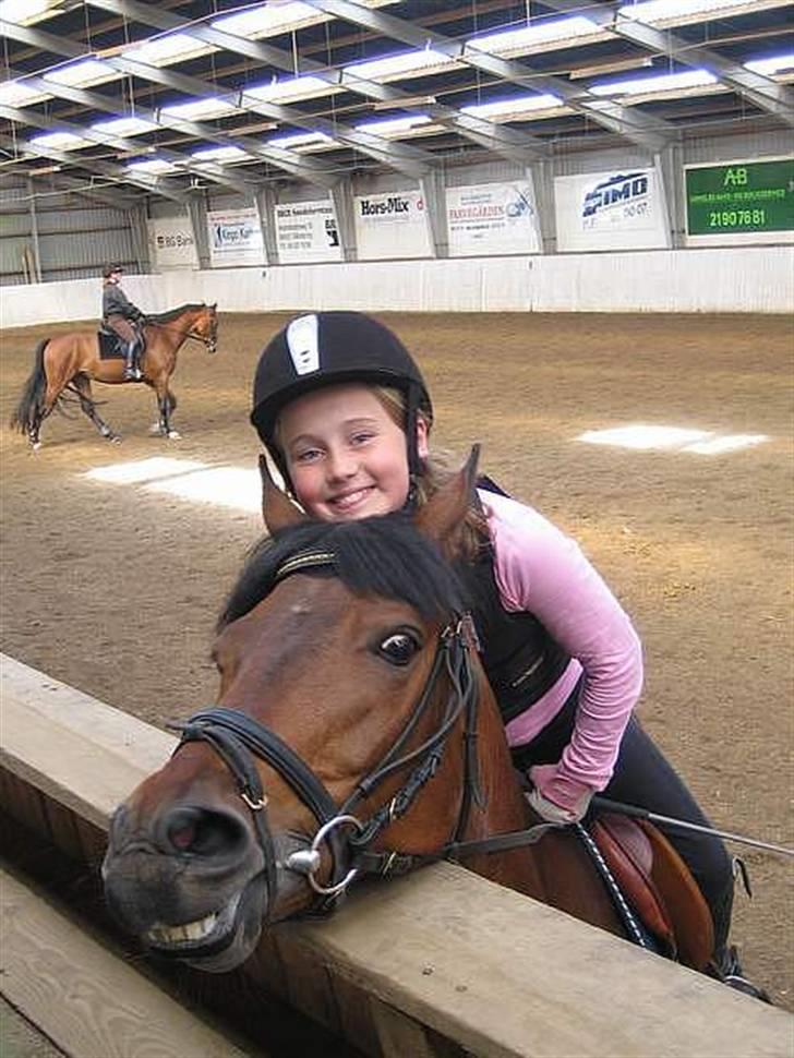 New Forest Balarina<3 - SOLGT :'/ - SMIL billede 4
