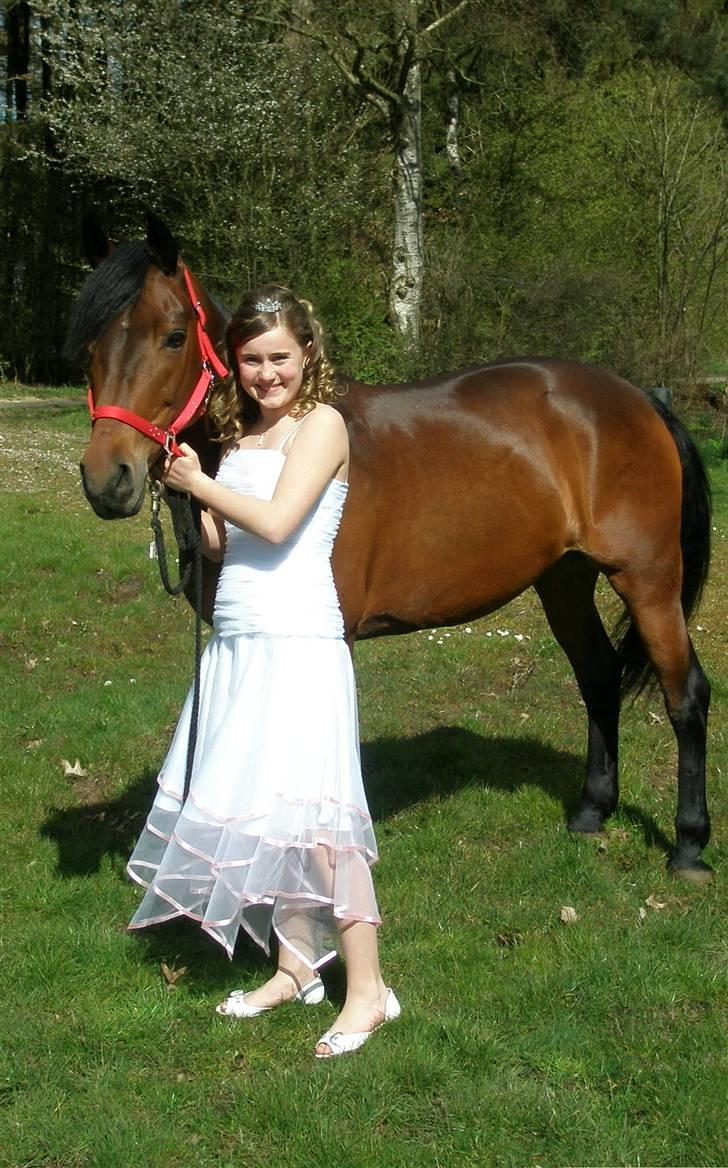 New Forest Balarina<3 - SOLGT :'/ - Balarina og jeg til min konfirmation.. d. 19-4-08 :D billede 5