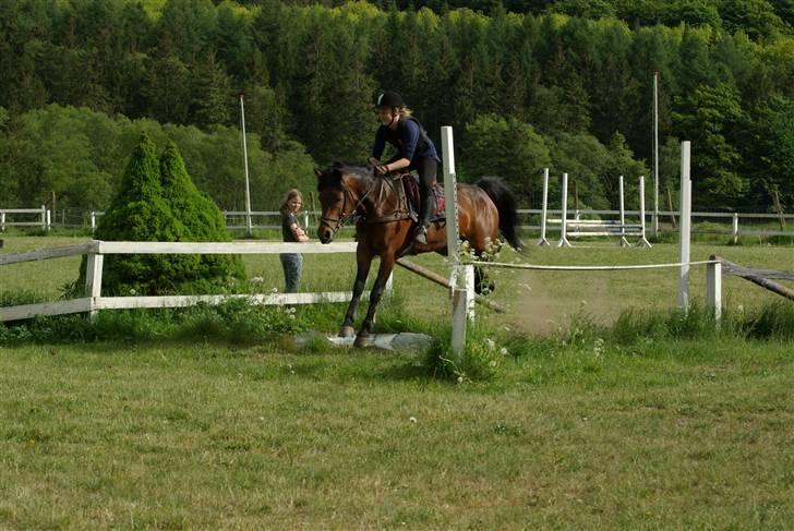 New Forest Balarina<3 - SOLGT :'/ - smukke og jeg i fuld fart over stor vandgrav :o) elsker den pony :* <33 billede 7