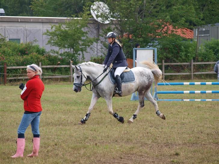 Hollandsk Sportspony Paco  - Hammerum - Ponyuge 2009 :) Mesterfoto : Kathrine Bruun (: <3 Paco kan trave :D billede 16