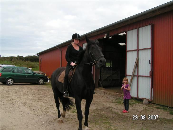 Anden særlig race Cindy - Eks halvpart - Mig og Cindy inden tur (: billede 2