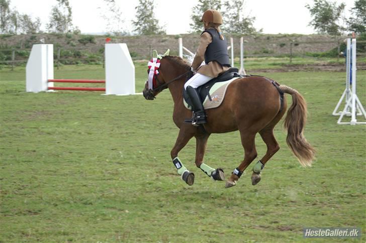 Anden særlig race » Bella Mi | SOLGT - Æresrunde på min fine ponze...1. plads:-)  jubii.. Foto: CTA billede 15