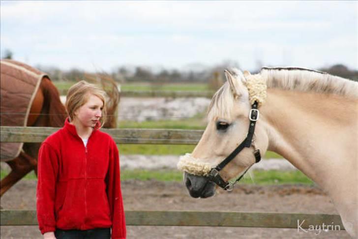 Fjordhest Ågerupgaard's Mickey muss :'( - elsker min  lille epony  billede 11