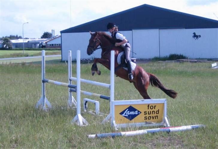 Anden særlig race Riishøjgaards Victor billede 3