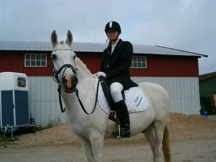 Anden særlig race Bamse <3 (død) - Elsker dette billede<33 billede 1