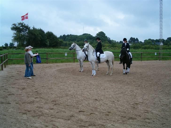 Anden særlig race Bamse <3 (død) - Hvor er vi dygtige. billede 2