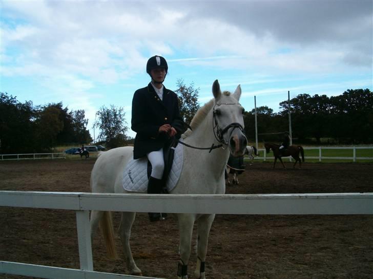 Anden særlig race Bamse <3 (død) - På opvarmings banen billede 5