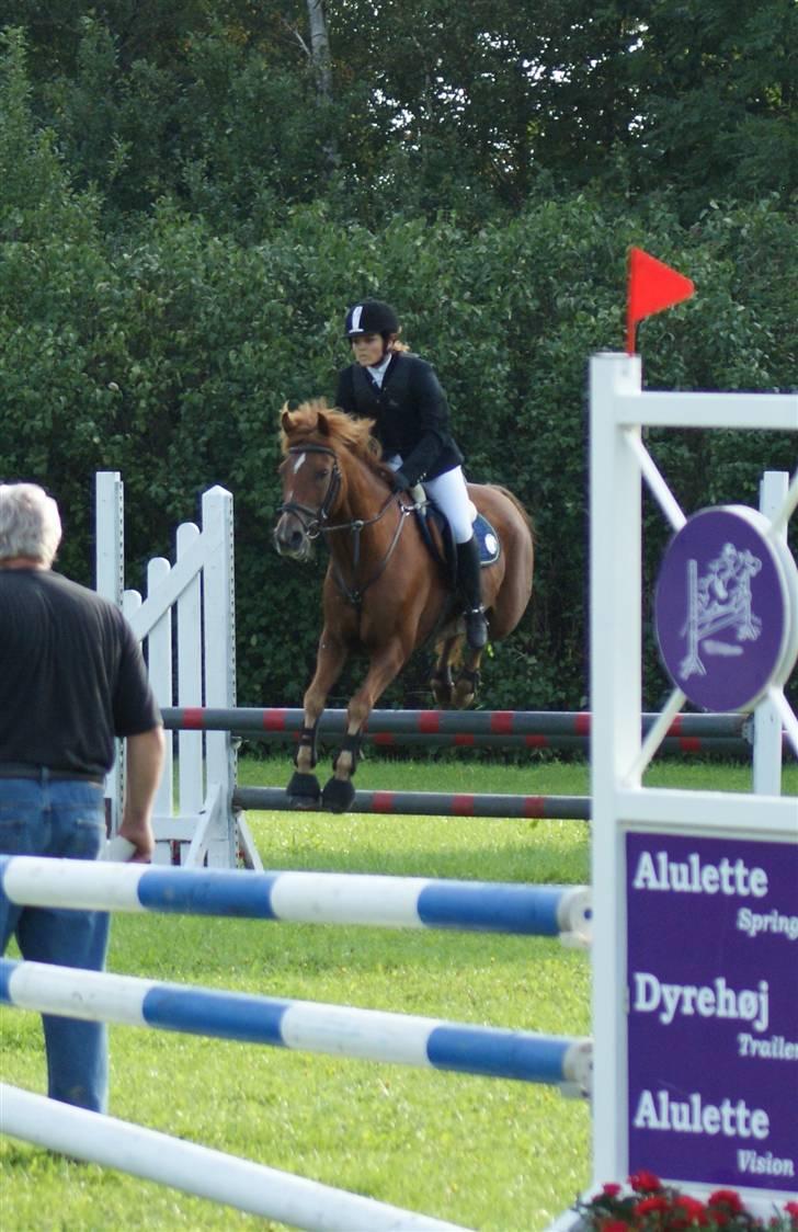 Tysk Sportspony Gizmo *Solgt* - Pårup stævne, foråret 2008. Viser lige hvor meget han elsker at springe! ;D<3 billede 8