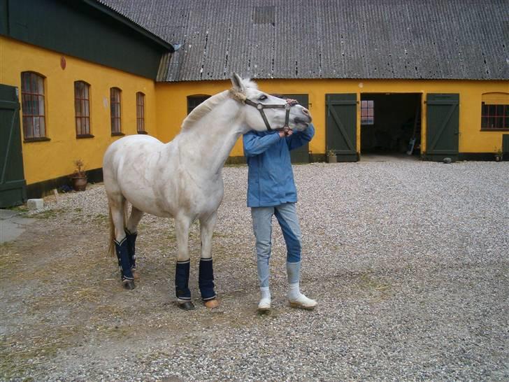 Anden særlig race Bamse <3 (død) - Han gad ikke stå stille  billede 11