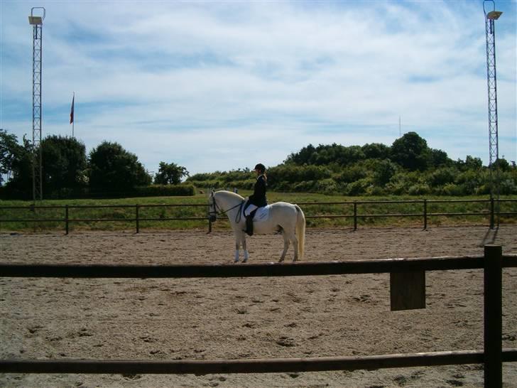 Anden særlig race Bamse <3 (død) - Dressur billede 12