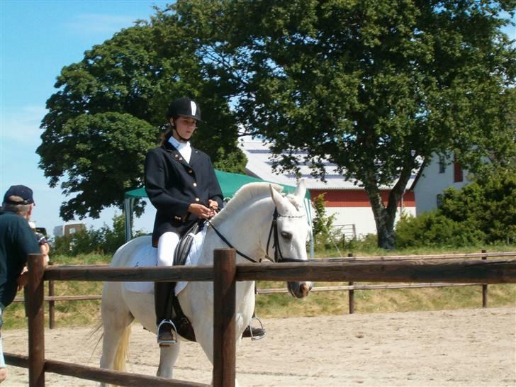 Anden særlig race Bamse <3 (død) - Dressur på ellekilde billede 13