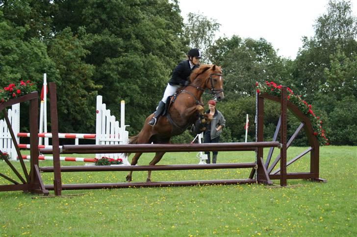 Tysk Sportspony Gizmo *Solgt* - Pårup stævne, foråret 2008. Jeg elsker det her billedet! ;)<3 billede 9