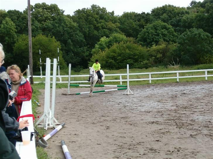 Anden særlig race Bamse <3 (død) - Vores første spring billede 15