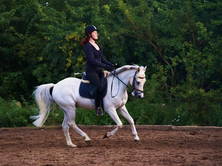 Anden særlig race Silver - Photo: Silje<3 billede 5