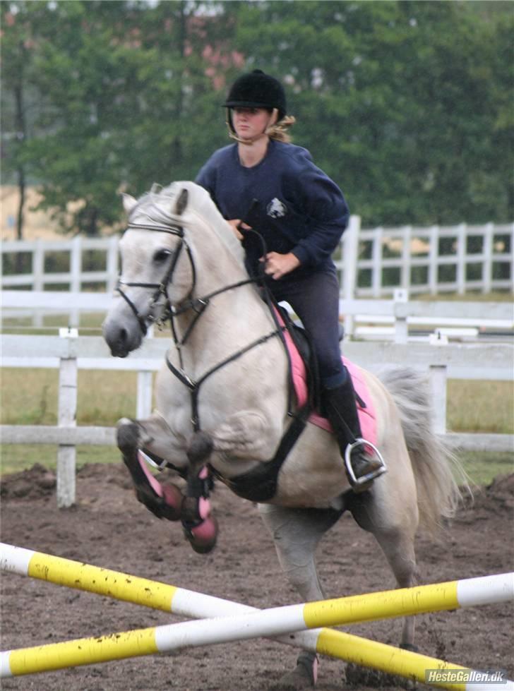 Anden særlig race Miss Dulle MIN! - Ridelejer 08 på vrcl<3 billede 11