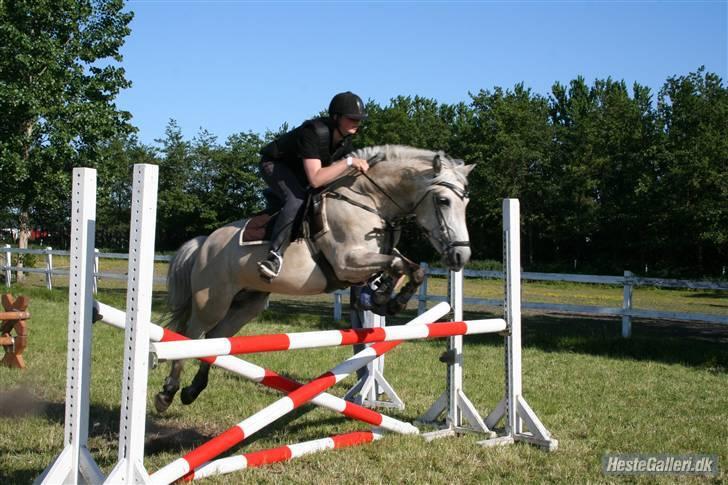 Anden særlig race Miss Dulle MIN! - Dulle og mig i sommers:).  billede 14