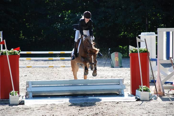 New Forest Wendy - udlånt :D - Vandgrav i parken ( jeg = kegle :) billede 5