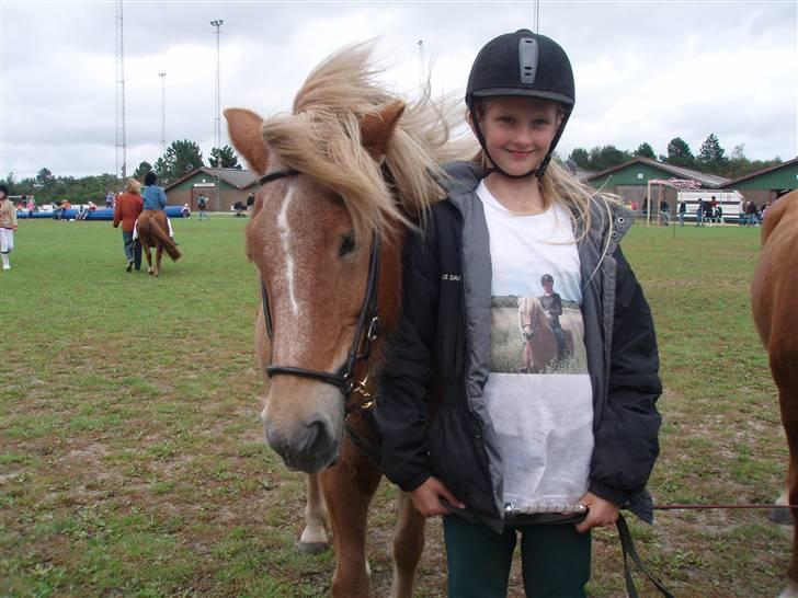 Islænder Glóa fra Gårde (solgt) billede 10