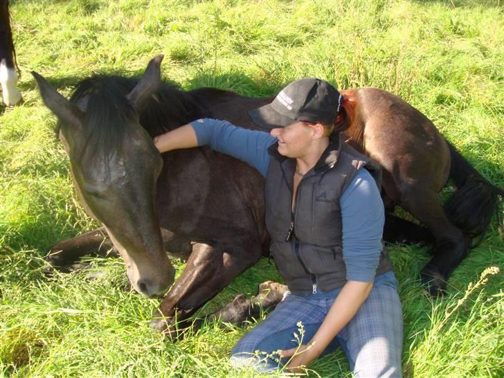 Dansk Varmblod Bugges Casino-Royal R.I.P - Se hvor han nyder det den bette.... c",) billede 7