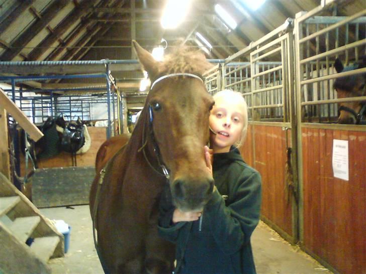 Anden særlig race Bastian "SAVNET" - Mig og Basse<3 min lille pony billede 2