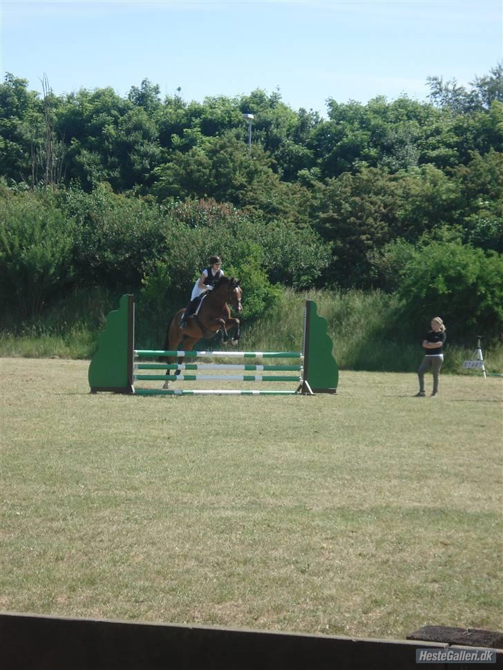 Hollandsk Varmblod Pearly (SOLGT) - 8)  Igen stævne i Støvring, her i omspring i LD. MÅ IKKE KOPIRES ! Foto : SmukkeSn billede 8