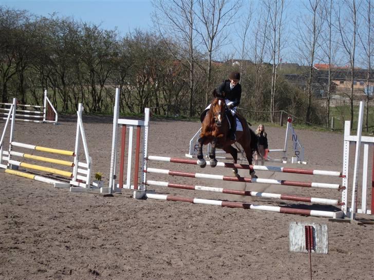 Hollandsk Varmblod Pearly (SOLGT) - 10) Springstævne i Nibe april 2008. Her i LD som vi fik en anden plads i :) Synes det er et mega fedt billede. Det beviser bare hvor meget fart vi har på i omspring :) MÅ IKKE KOPIRES ! Foto : Far billede 10