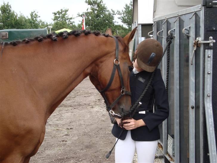 Hollandsk Varmblod Pearly (SOLGT) - 11) Hygge til stævnet, elsker den hest af hele mit hjerte !  MÅ IKKE KOPIRES ! Foto : Far billede 11