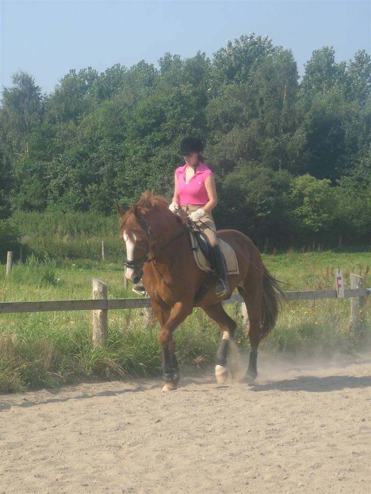 Frederiksborg Cado  - Fiiiiiiiiiiiin landside ;D - Sommeren 07 billede 4