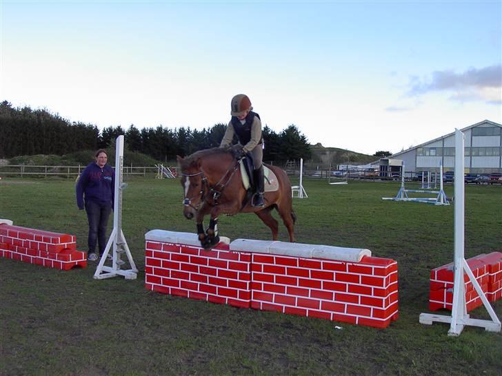 Anden særlig race » Bella Mi | SOLGT - springer mur<333 billede 17
