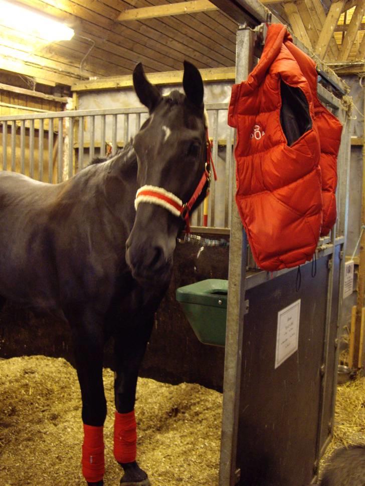 Oldenborg Frederikke Af Hvorvarp billede 8