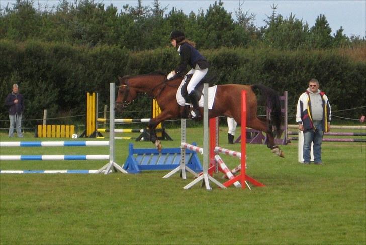 Hollandsk Sportspony Lukas  - 2) LX Lukas og jeg til stævne i HIR :)  billede 3
