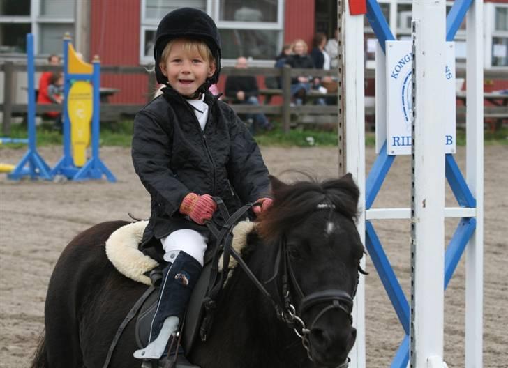 Shetlænder Tulle - Når ja se lige lidt mere sur ud Tulle;)  Foto: Kim Bahnsen billede 9