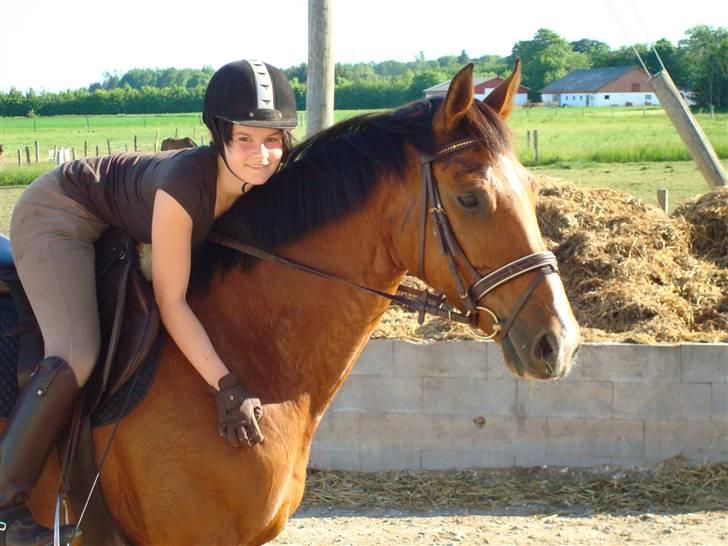 Hollandsk Varmblod Pearly (SOLGT) - 18) Fordi du giver mig alt <3 Elsker dig for den du er. MÅ IKKE KOPIRES ! Foto : SmukkeSn billede 18