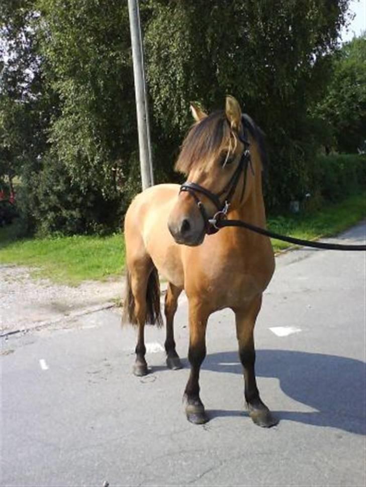 Anden særlig race Tarzan  - Fresh fri og fly xD  billede 6