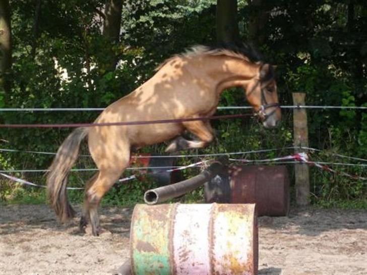 Anden særlig race Tarzan  - vi kan også godt hoppe lidt x)  billede 7