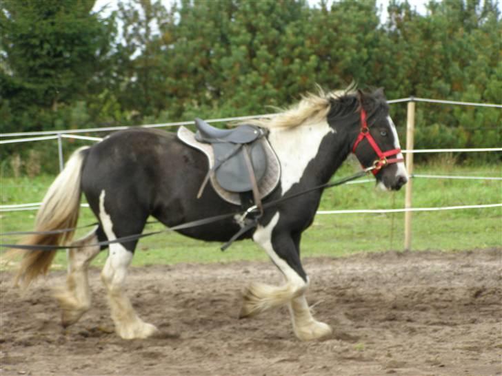 Tinker Louise SOLGT billede 9