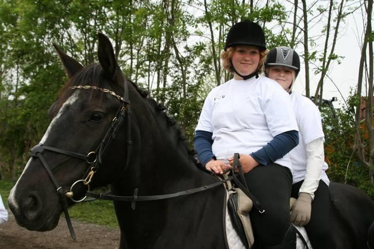 Anden særlig race Po8ny Girl - Po8ny med min søster og kusine på ryggen:) Foto:Kim Bahnsen billede 1