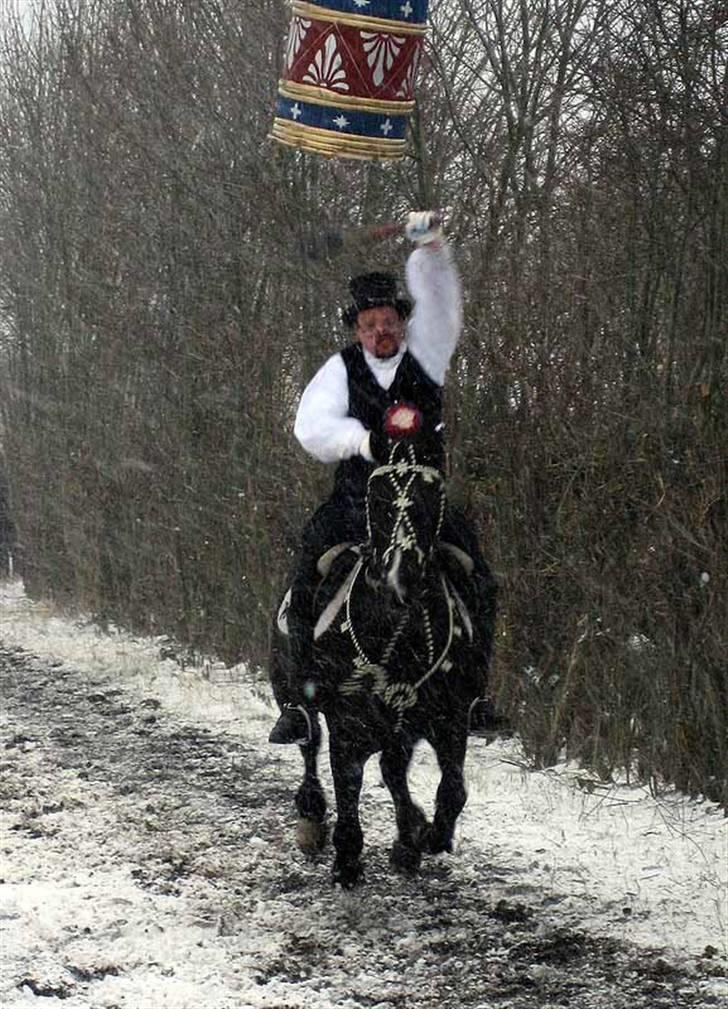 Anden særlig race Po8ny Girl - Po8ny med festtøjet på i snestorm, øv bøv. Foto:Kim Bahnsen billede 2