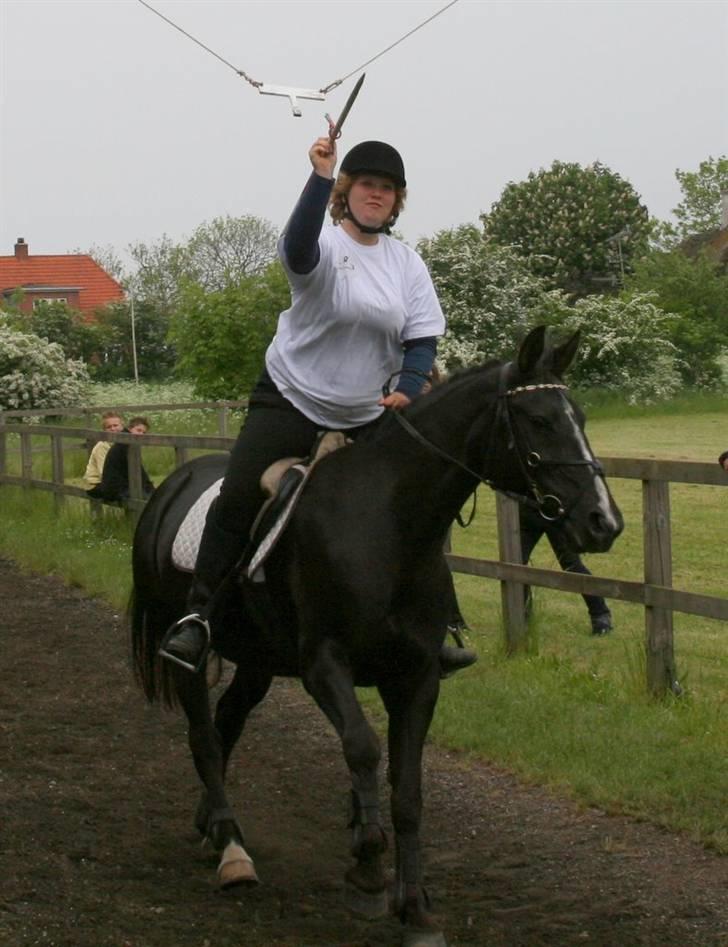 Anden særlig race Po8ny Girl - Min søster og Po8ny til ringridning. Foto:Kim Bahnsen billede 7