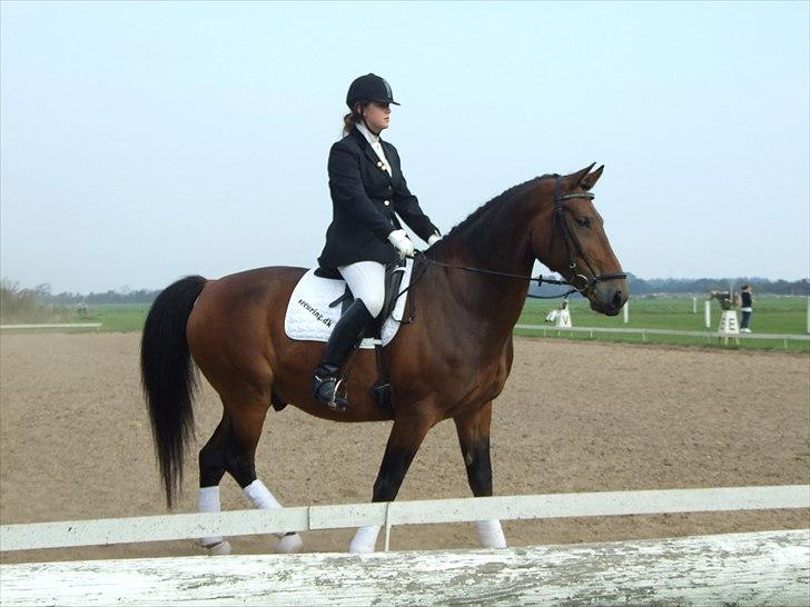 Anden særlig race Patrick  - Dommeren er meget farlig :o) billede 2